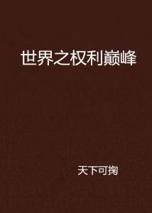 权力巅峰，最新章节与精彩目录解析